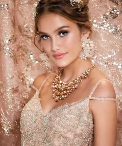 Princesa By Ariana Vara PR12006 Quinceanera Dress Quinceañera