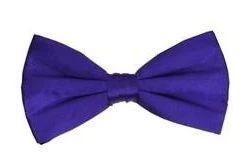 Vesuvio Napoli Purple Bow Ties With Matching Pocket Squares Men