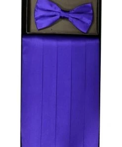 Vesuvio Napoli Men Purple Silk Satin Cummerbund And Bow Tie Set