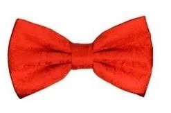 Vesuvio Napoli Men Red Paisley Bow Ties With Matching Pocket Squares