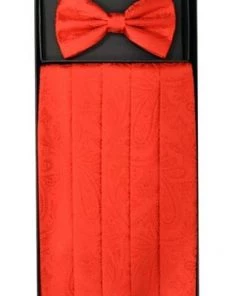 Vesuvio Napoli Red Paisley Cummerbund And Bow Tie Set Men