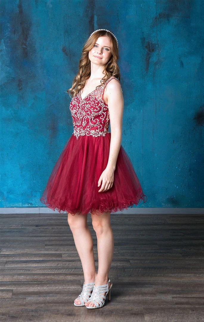 Ruffled Short V-Neck Tulle Dress By Calla Collection 5 Ruffled Short V-Neck Tulle Dress By Calla Collection