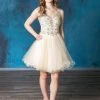 Ruffled Short V-Neck Tulle Dress By Calla Collection
