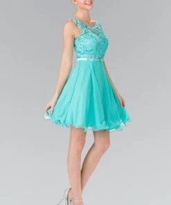 Short Lace Bodice Chiffon Dress By Elizabeth K GS2314 Prom