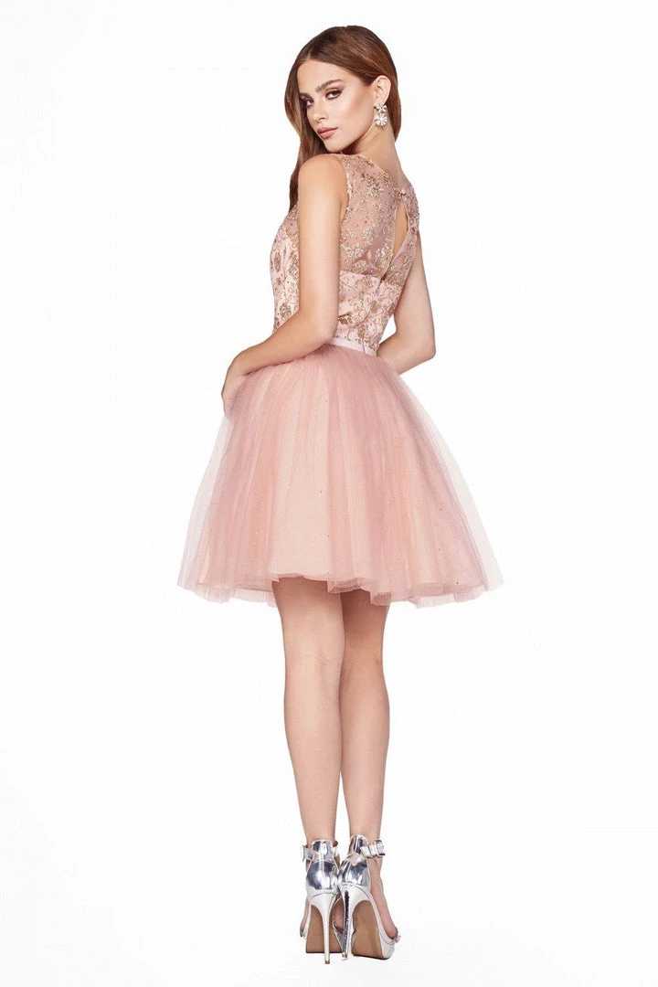 Prom Short A-line Glitter Dress By Cinderella Divine CD20 12 Prom Short A-line Glitter Dress By Cinderella Divine CD20