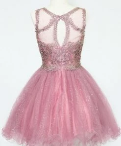 Short Embroidered Dress With Sequin Tulle Skirt By Calla Collection
