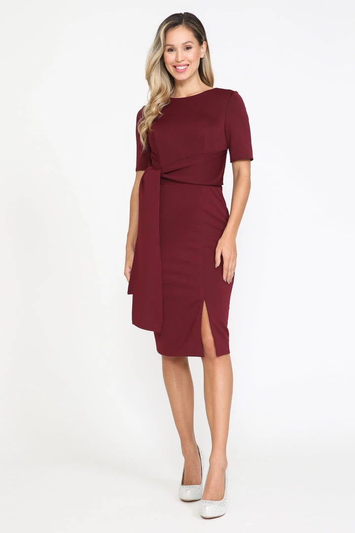 Short Fitted Dress With Short Sleeves By Poly USA 8524 3 Short Fitted Dress With Short Sleeves By Poly USA 8524