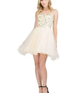Starbox Short Floral Embroidered Dress With Ruffled Skirt By Star Box 17267