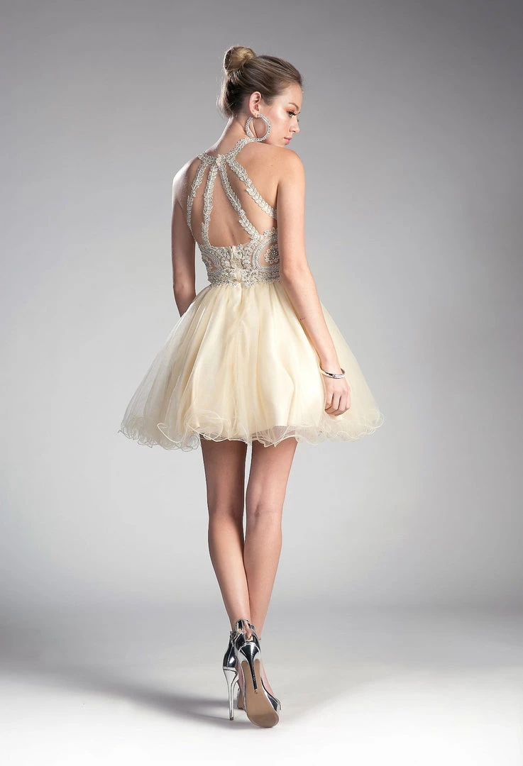 Prom Short Lace Appliqued Dress By Cinderella Divine UJ0119 9 Prom Short Lace Appliqued Dress By Cinderella Divine UJ0119