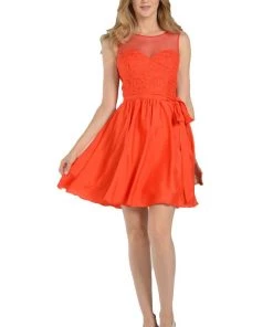 Short Navy Blue Dress With Illusion Lace Bodice By Poly USA Prom