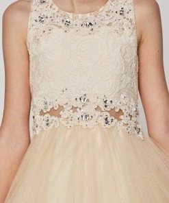 Short Ruffled Dress With Lace Bodice By Cinderella Couture 5010