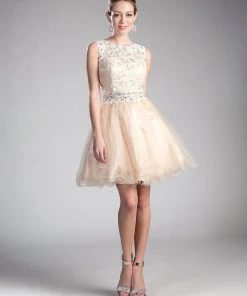 Short Ruffled Dress With Lace Bodice By Cinderella Divine CD0117 Prom