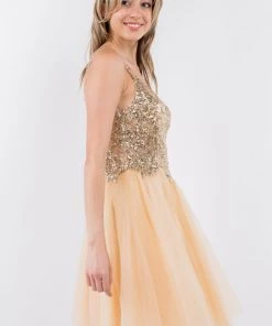 Short Sheer Bodice Glitter Dress By Elizabeth K GS1967