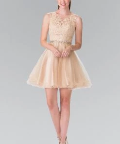 Short Sleeveless Dress With Lace Illusion Top By Elizabeth K GS2375