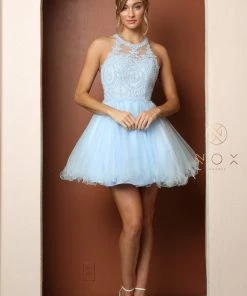 Short Tulle Dress With Embroidered Applique Bodice By Nox Anabel B652