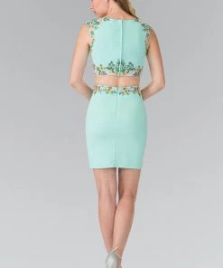 Short Two-Piece Dress With Floral Embroidery By Elizabeth K GS1439