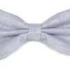 Vesuvio Napoli Men Silver Paisley Bow Ties With Matching Pocket Squares