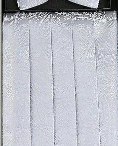 Vesuvio Napoli Silver Paisley Cummerbund And Bow Tie Set Men