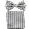 Vesuvio Napoli Silver Striped Bow Tie With Pocket Square (Pointed Tip)