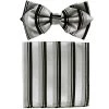 Vesuvio Napoli Silver/Black Striped Bow Tie With Pocket Square (Pointed Tip)