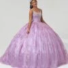 Sleeveless Quinceanera Dress By House Of Wu 26003 2 Sleeveless Quinceanera Dress By House Of Wu 26003