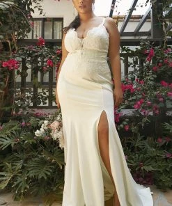 White Lace Bodice Fitted Gown By Cinderella Divine CF319W
